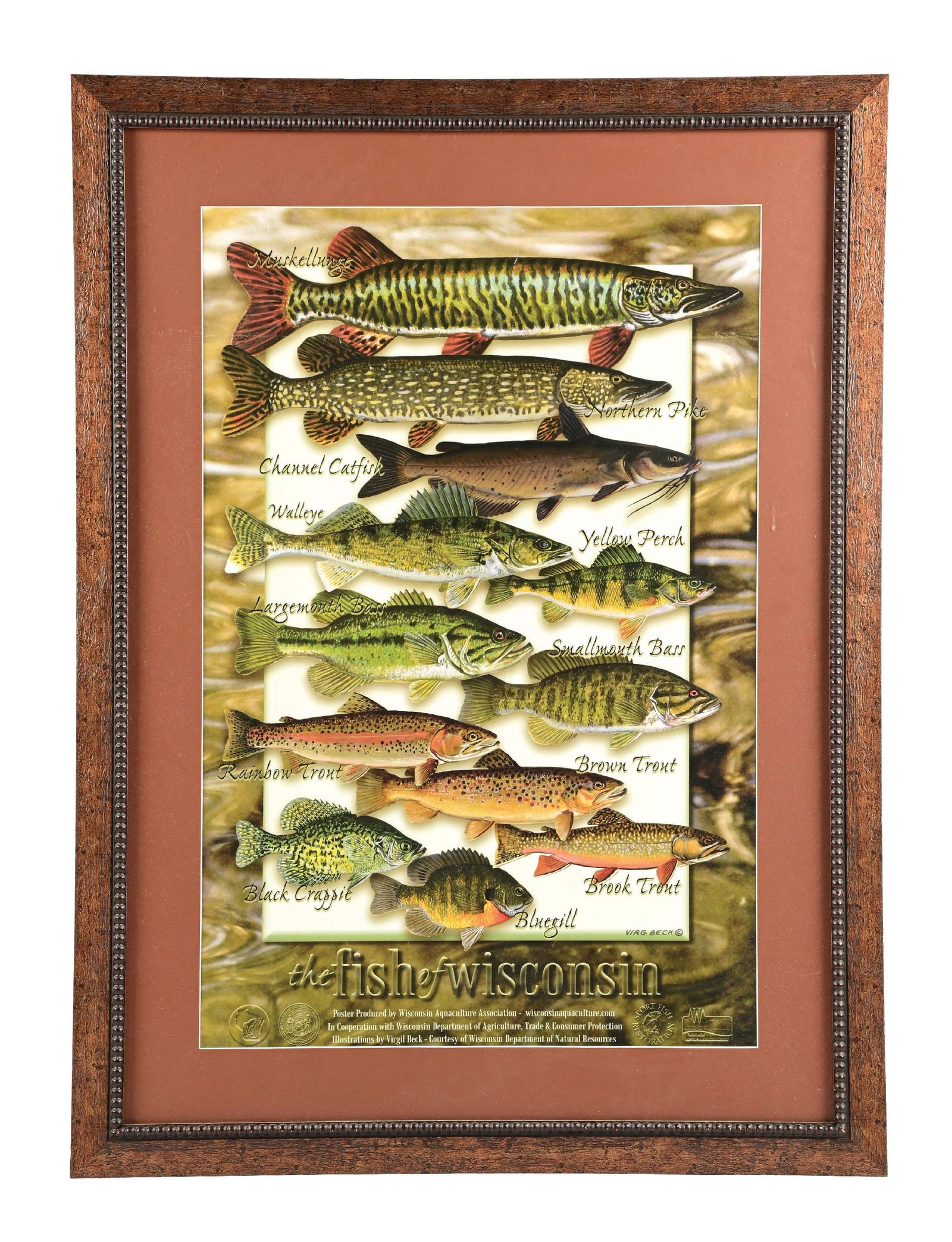 THE FISH OF WISCONSIN FRAMED