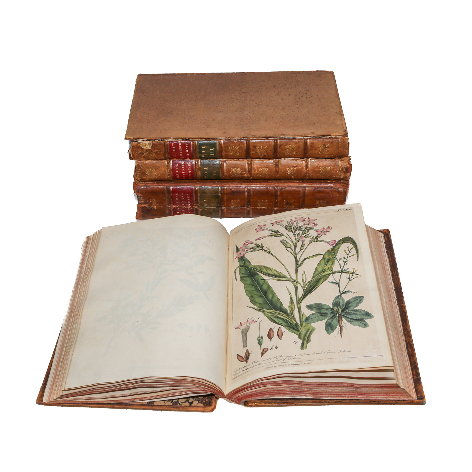 THE GARDENER'S DICTIONARY, WITH THE