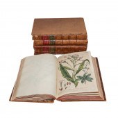 THE GARDENER'S DICTIONARY, WIT
