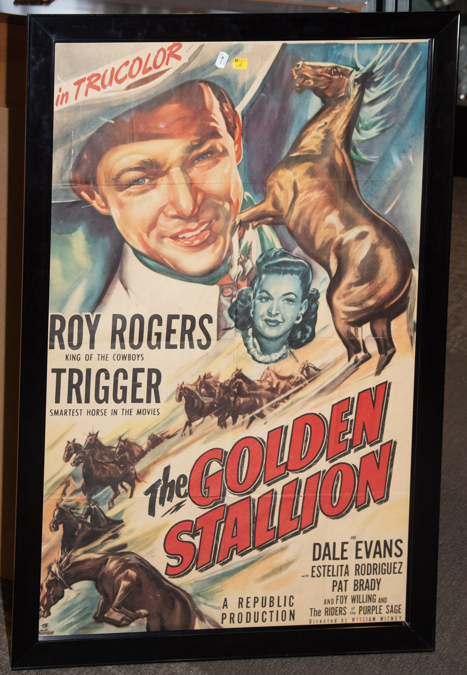 THE GOLDEN STALLION MOVIE POSTER