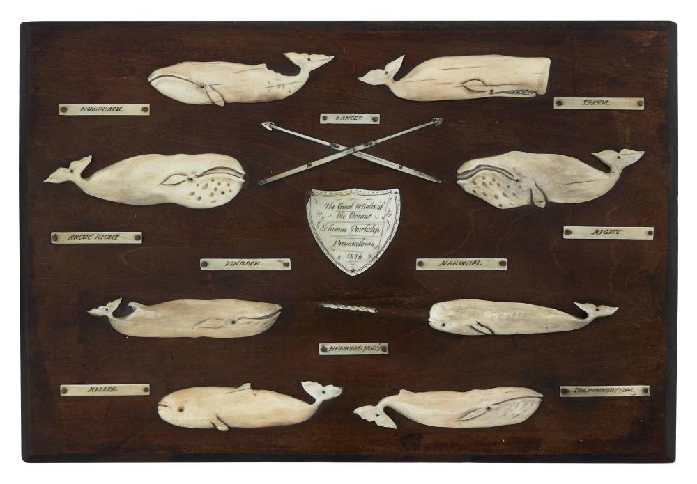 "THE GREAT WHALES OF THE OCEANS"