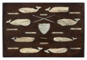 "THE GREAT WHALES OF THE OCEAN