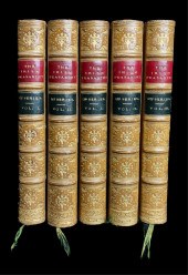 THE IRISH PEASANTRY (2 SERIES)