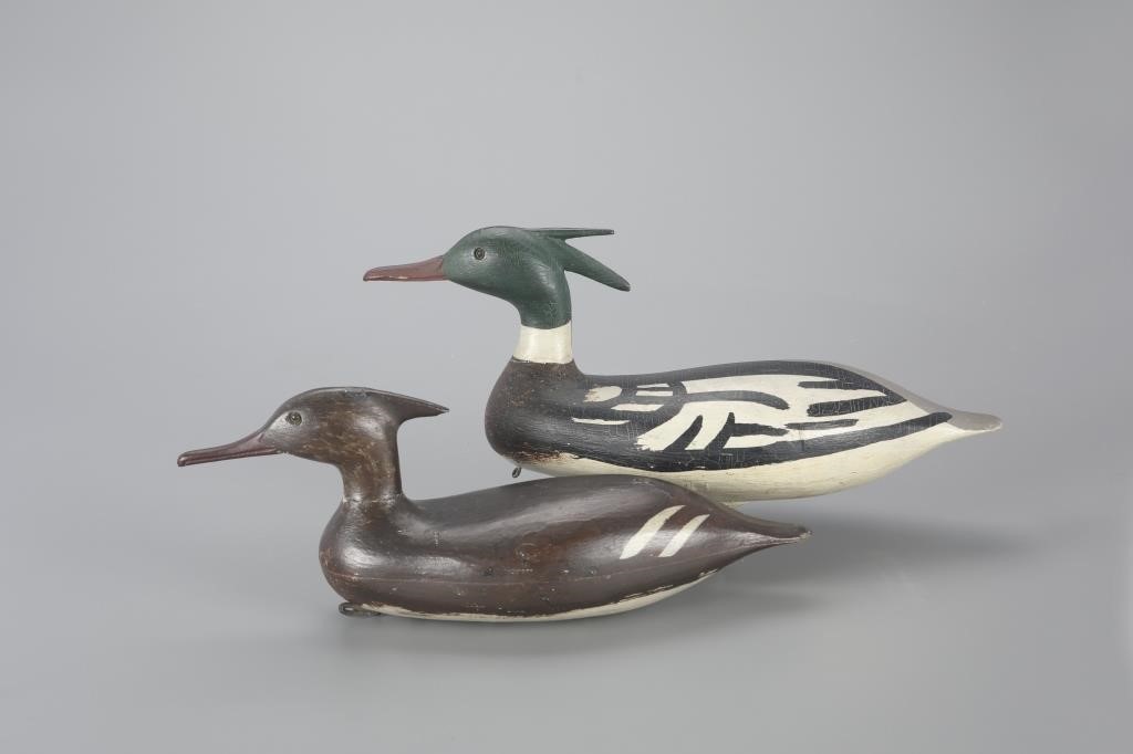 THE MADARA MERGANSER PAIRClark C.
