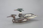 THE MADARA MERGANSER PAIRClark