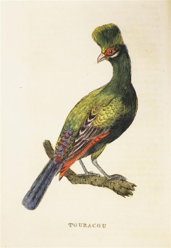 THE NATURAL HISTORY OF BIRDS two