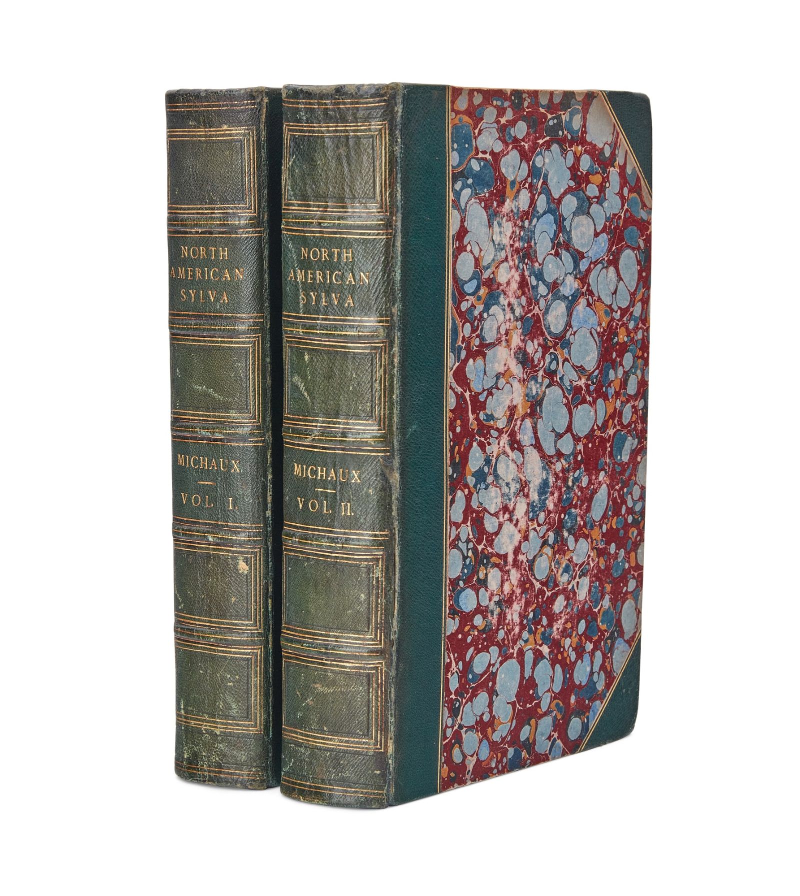 THE NORTH AMERICAN SYLVA,