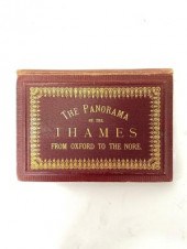 The Panorama of the Thames fro