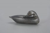 THE PERDEW PREENING BLACK DUCK