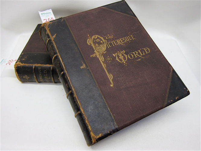 THE PICTURESQUE WORLD TWO VOLUME