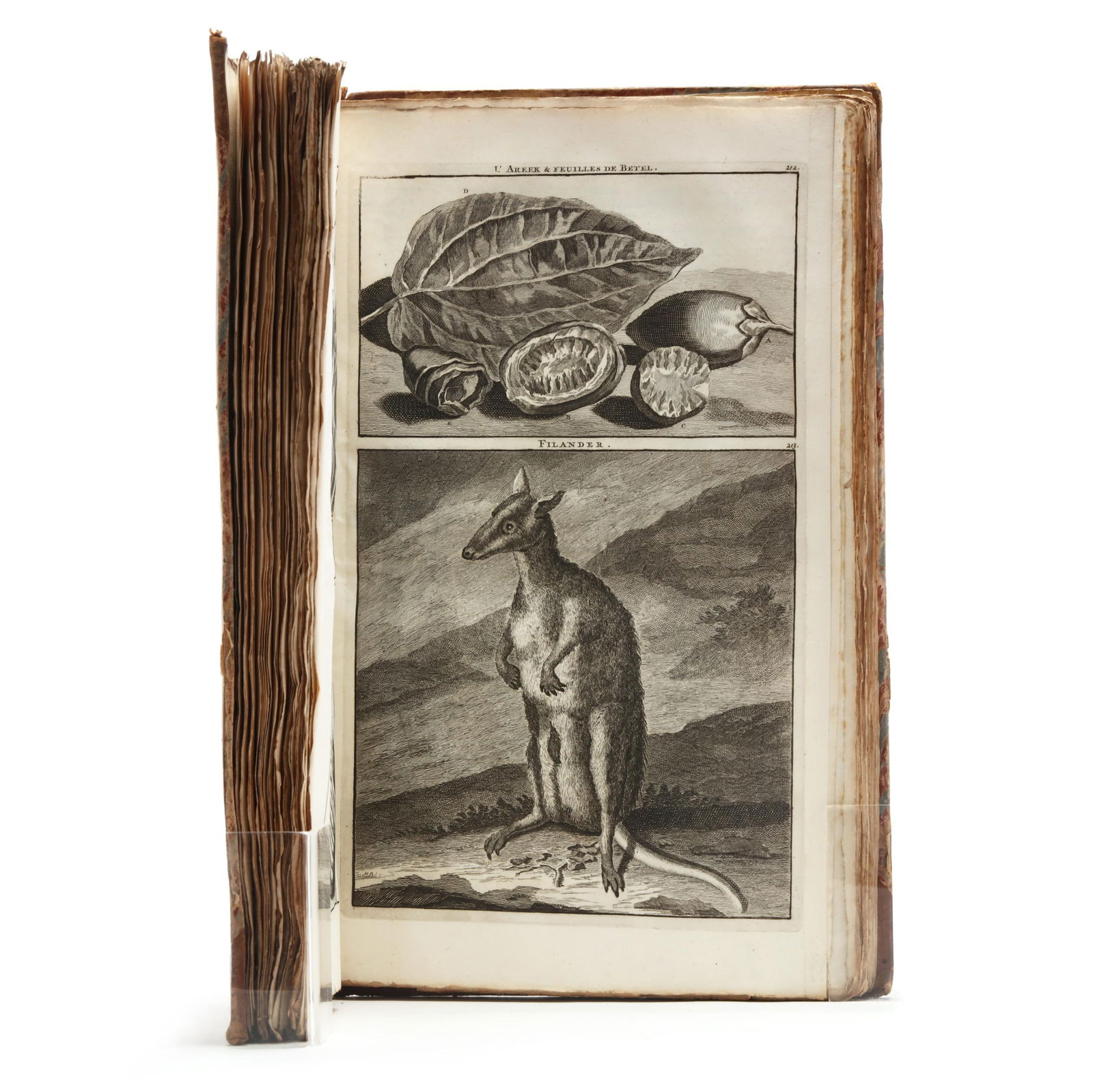 THE RICHLY ILLUSTRATED FIRST FRENCH