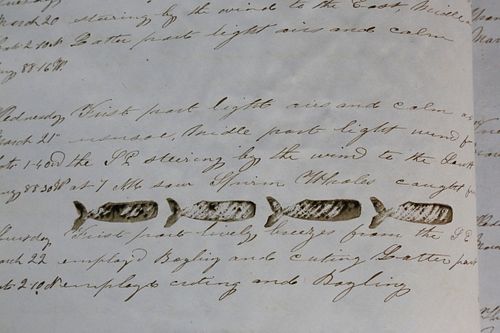 THE SHIP HARBINGER LOG BOOK "ON A
