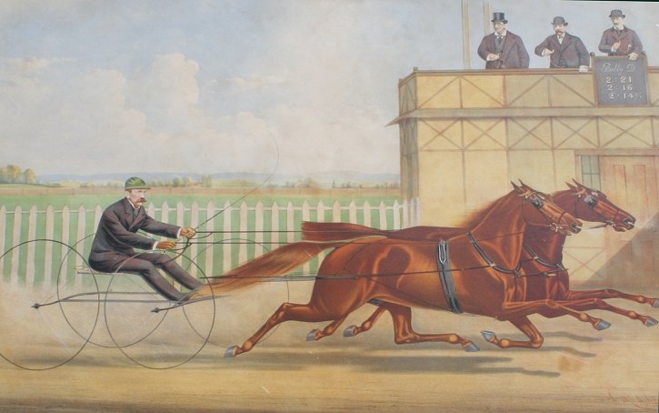 THE TROTTING GELDING BILLY D.