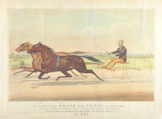 THE TROTTING GELDING FRANK... BY