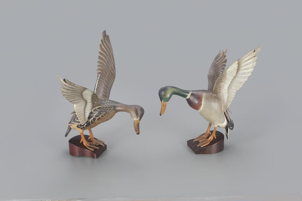 THE WARD FLYING MALLARD PAIRThe