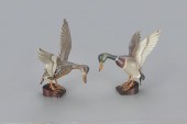 THE WARD FLYING MALLARD PAIRTh