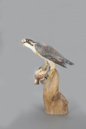 THE WARD PEREGRINE FALCONLemue