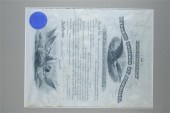 THEODORE ROOSEVELT DOCUMENT SI