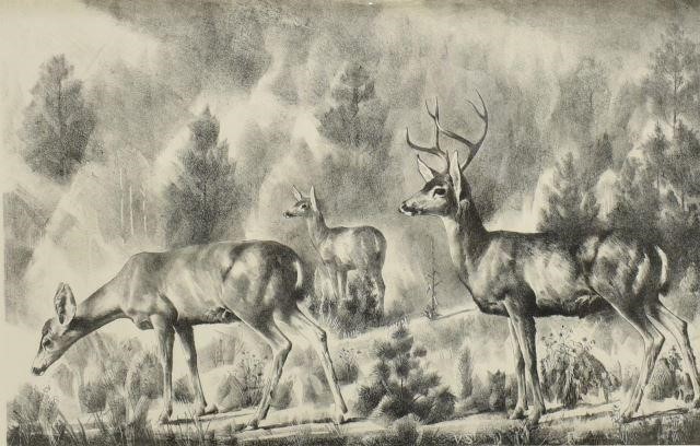 THEODORE VAN SOELEN (D.1964) DEER