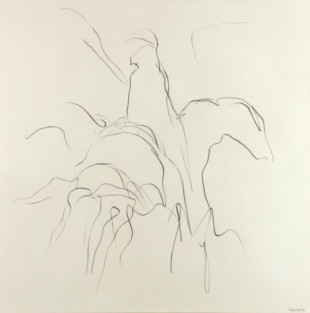 THEODORE WADDELL (1941-),