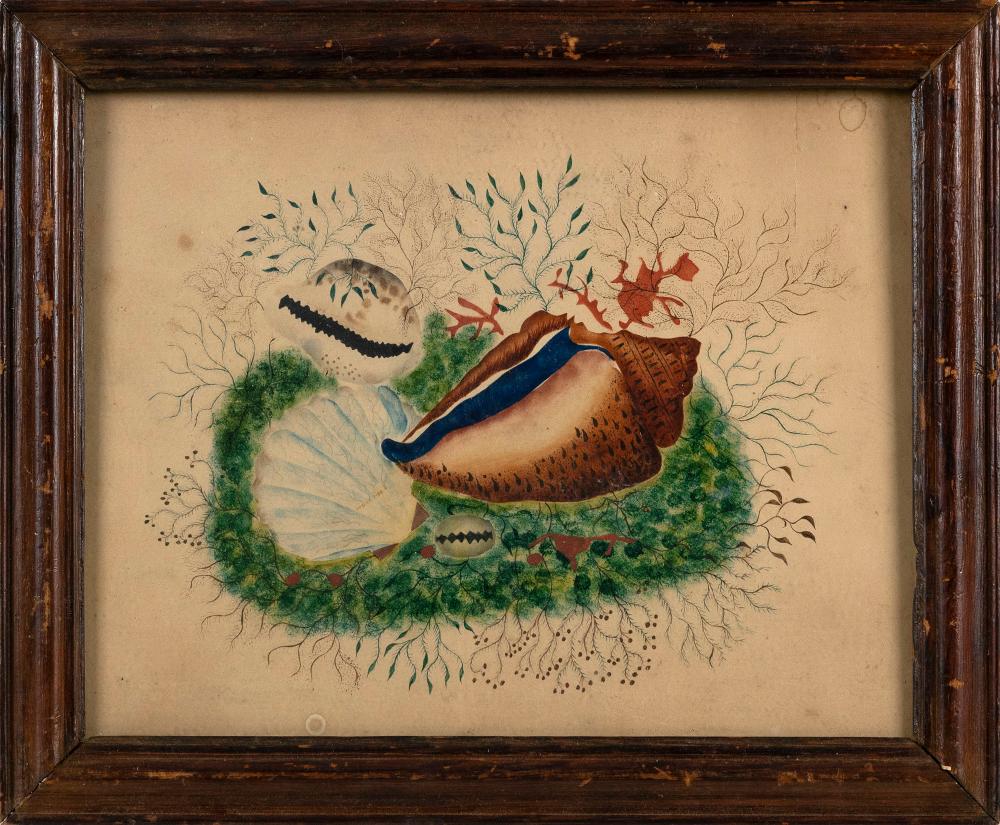 THEOREM PAINTING OF SEA LIFE LATE