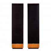 THIEL CS 3.6 FLOOR STANDING SP
