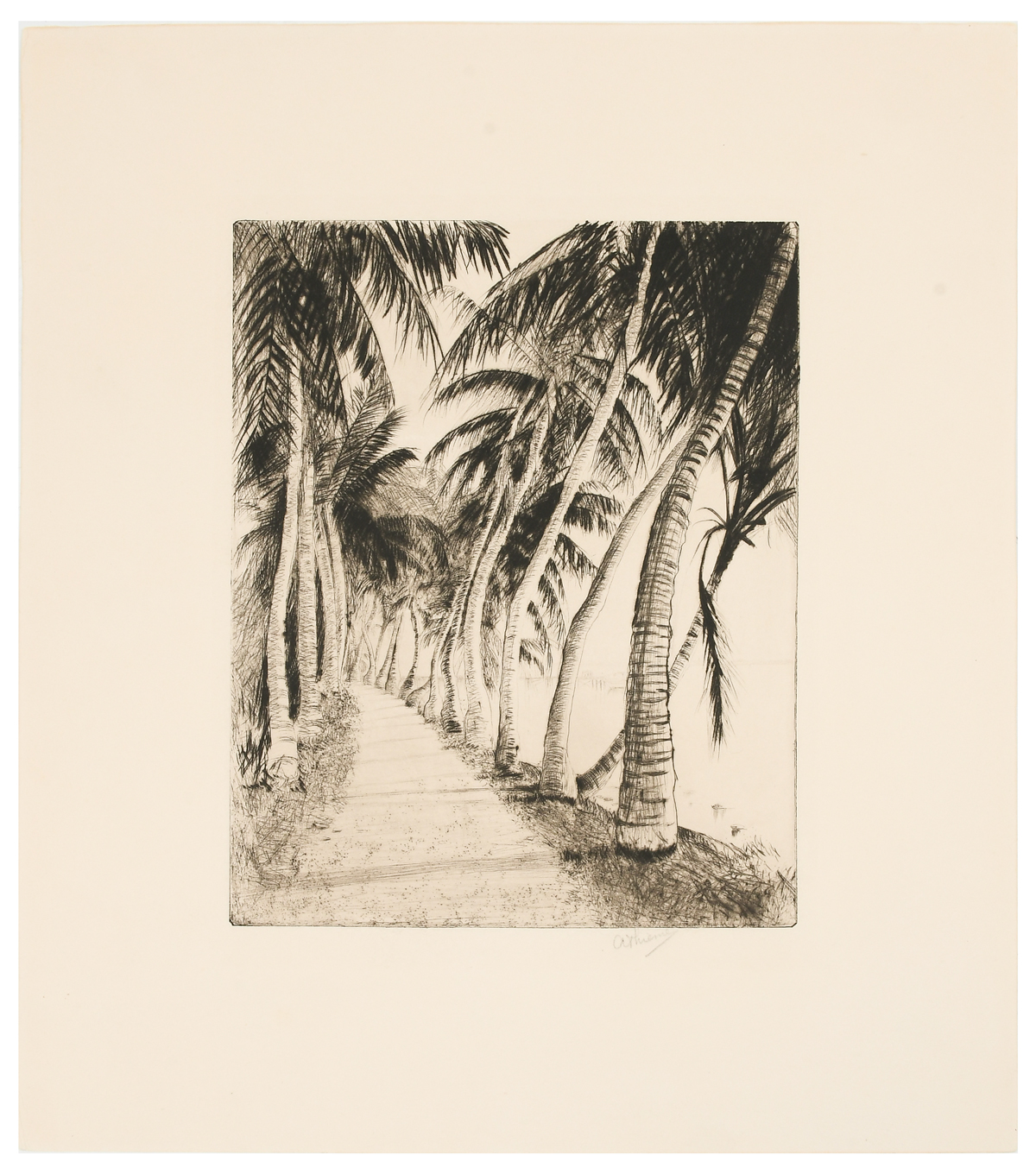 THIEME, Anthony, (American,