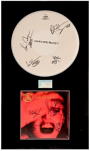 THIRD EYE BLIND MATTED DISPLAY OF