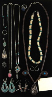 THIRTEEN ARTICLES OF NATIVE AM