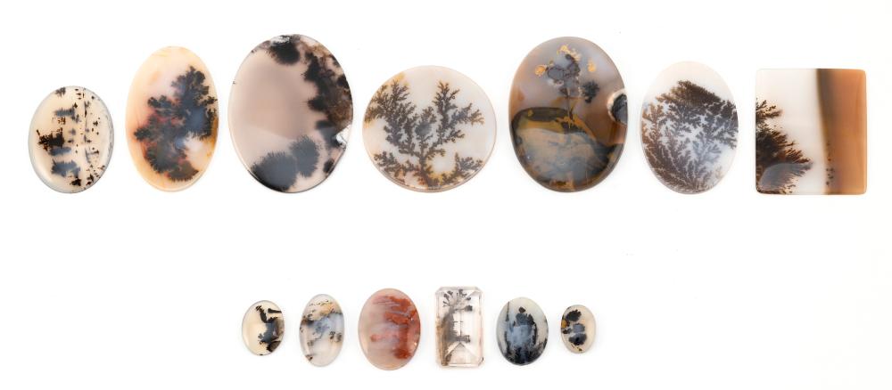 THIRTEEN ASSORTED LOOSE MOSS AGATES