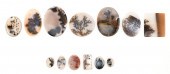 THIRTEEN ASSORTED LOOSE MOSS A