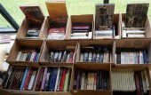 THIRTEEN BOXES OF BOOKS (ART,