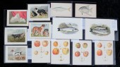 THIRTEEN CHROMOLITHOGRAPHS. Ni