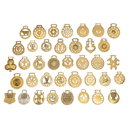 Thirty-eight horse brasses,