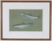 THOMAS BRAYSHAW MIXED MEDIA ON