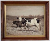 THOMAS CRAIG COWS OIL ON CANVA