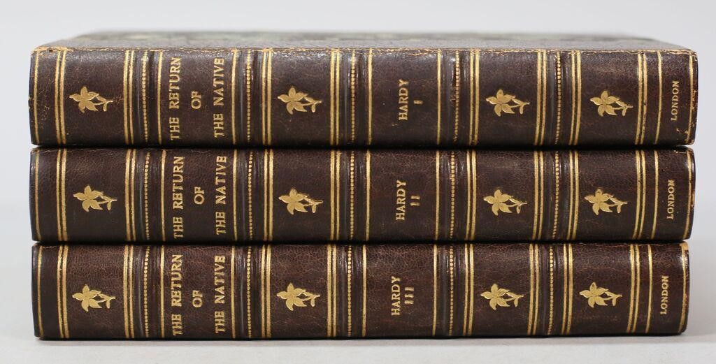 THOMAS HARDY THE RETURN OF THE
