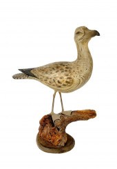 THOMAS LANGAN GULL CARVING CAN