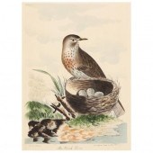 THOMAS LORD (BRITISH 1755-1832
