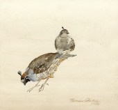 THOMAS QUINN (1938- ), QUAIL T