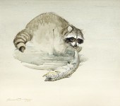 THOMAS QUINN (1938- ), RACCOON