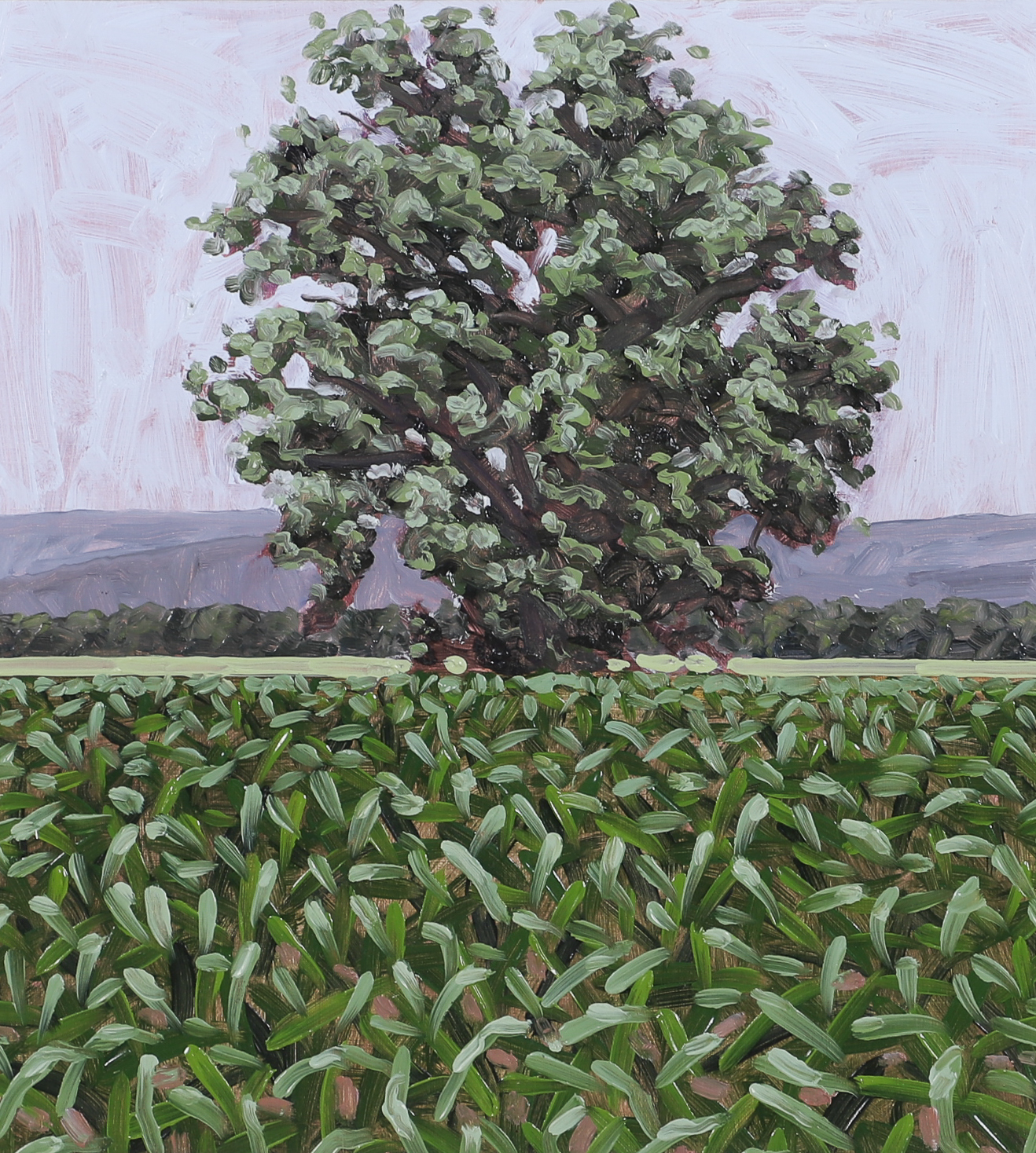 Thomas Sarrantonio (American, b