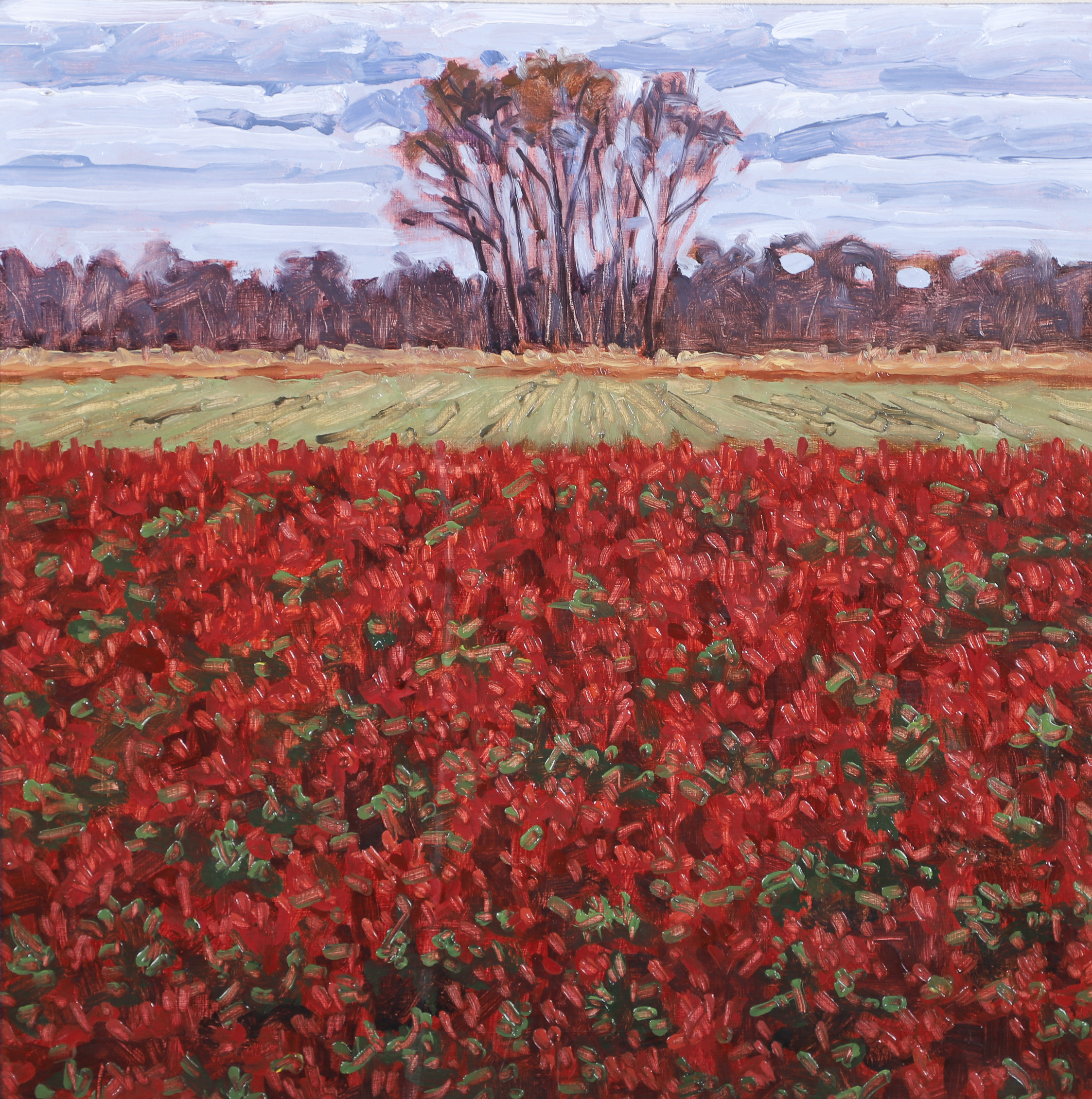 Thomas Sarrantonio (American, b