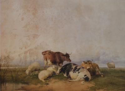 Thomas Sidney Cooper