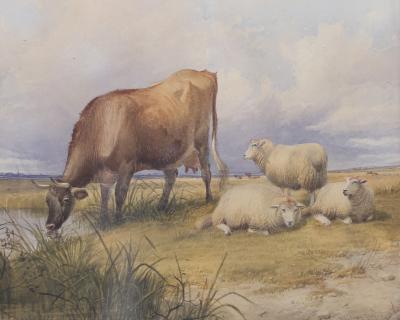 Thomas Sidney Cooper