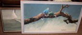 Thomas W. Ramsey. Tree Climber
