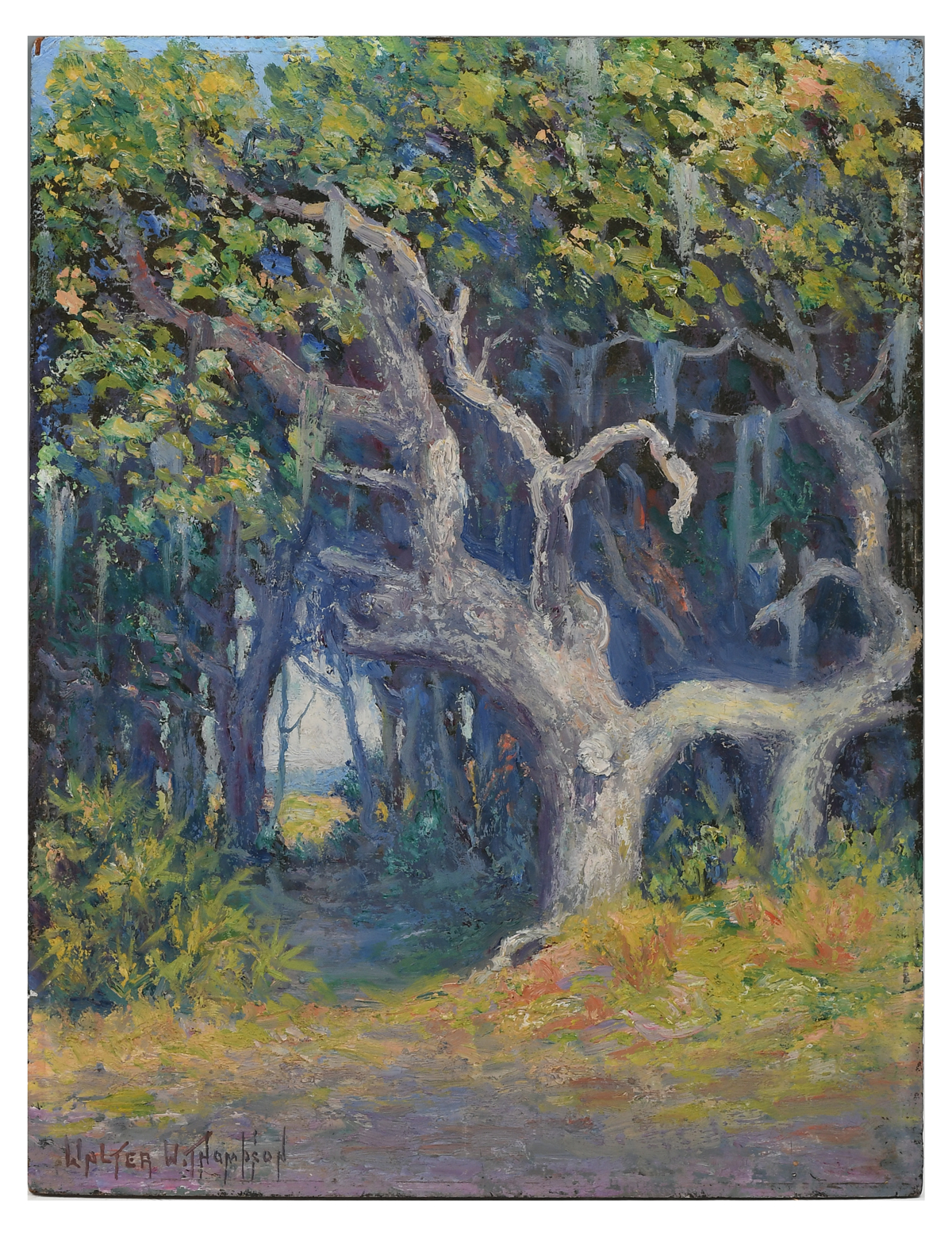 THOMPSON, Walter Whitcomb,