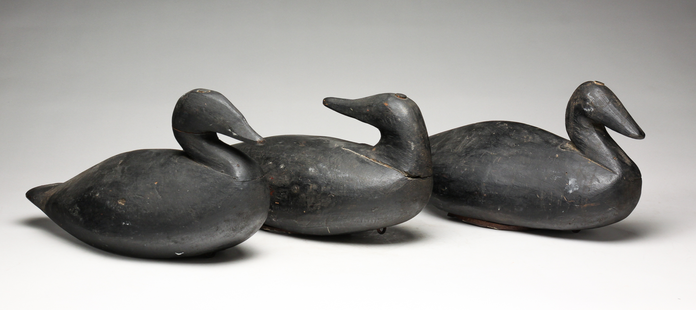 THREE AMERICAN COOT DECOYS.