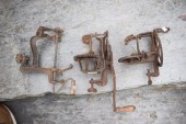 Three antique signed cast iron