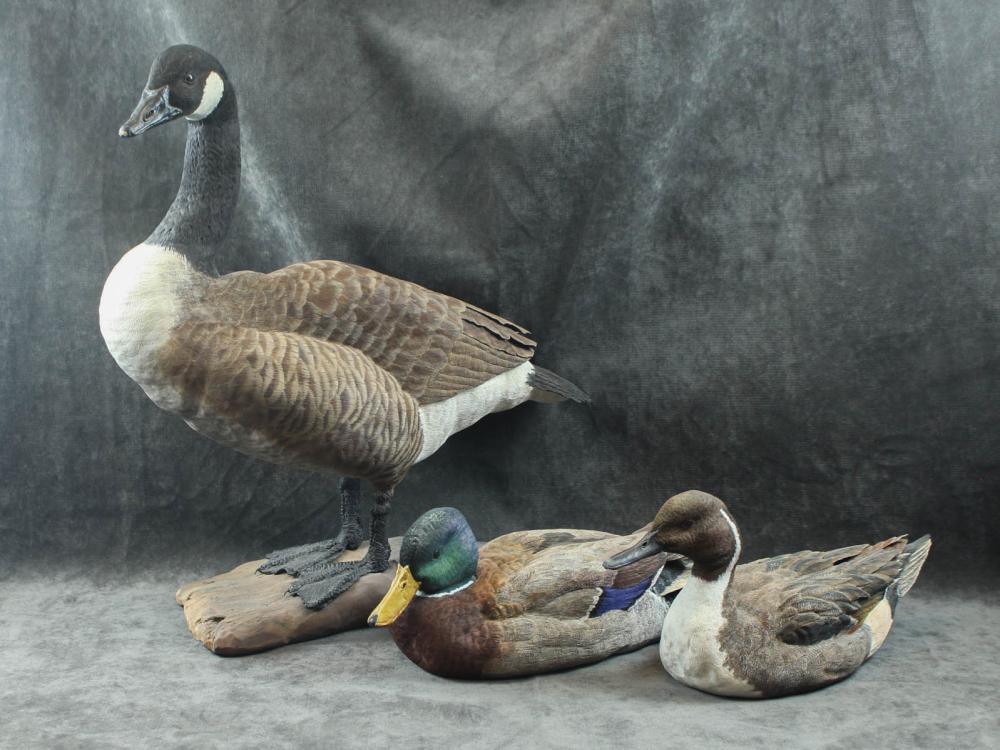 THREE ARTIST SIGNED WATERFOWL